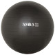 Amila Μπάλα Γυμναστικής GYMBALL 55cm Μαύρη
